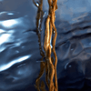 img-59e87edb-1a3b-4720-91d6-38b748654bce.png