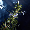 img-3d0c273e-6bd0-450f-be2a-d88b050ee4ac.png