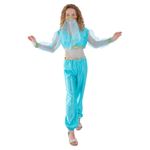 SMIFFYS SMIFFY S S27265L costume arabian princess l pantaloni, top, h-pezzo