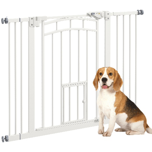 img-015293d7-5c85-44a0-a9e3-105338e655ae.png