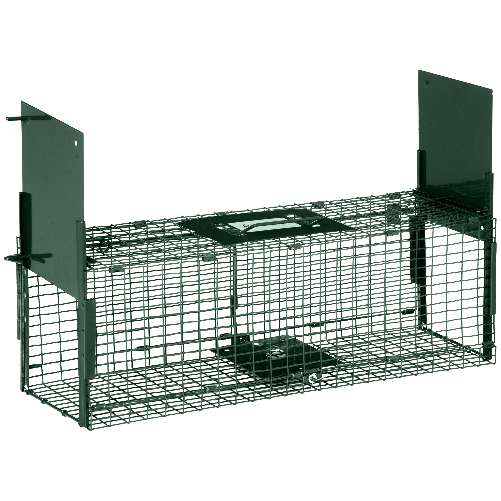 img-083b51c9-76d8-4da1-8d6f-eb6a504174e4.png