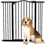 img-1863def4-fc24-4800-b631-ff8cb6be4f2e.png