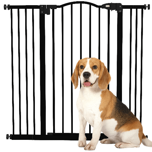 img-1863def4-fc24-4800-b631-ff8cb6be4f2e.png