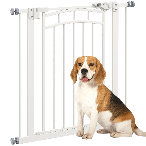img-8685576f-c046-4fb1-bb24-1ea4e8834e7a.png