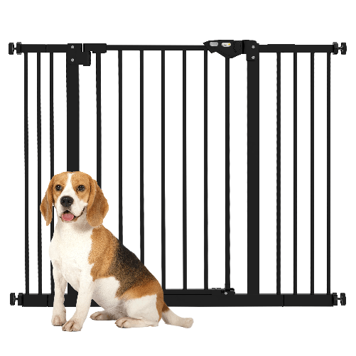 img-3e347045-2df9-4435-a4d1-779461d5600a.png