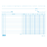 100 SCHEDE DARE/AVERE/SALDO/IVA 17X24CM ORIZZ. E3379