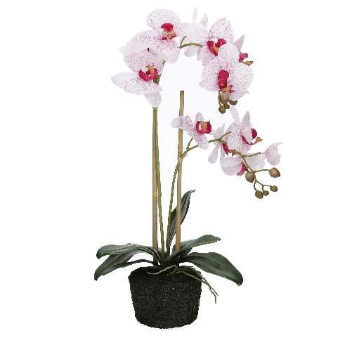 img-dcfbb3d5-cd7e-42d2-80dc-19708d8a59ac.png
