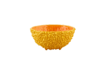 img-82bd1616-9060-4652-baeb-51c401a2de61.png
