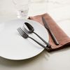 Serv.-posate-Rock-24-pz.-Mirror-PVD-2Black