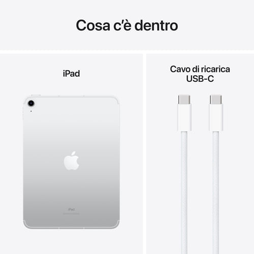 Apple-iPad-109---Wi-Fi---Cellular-256GB----Argento--10ª-generazione-