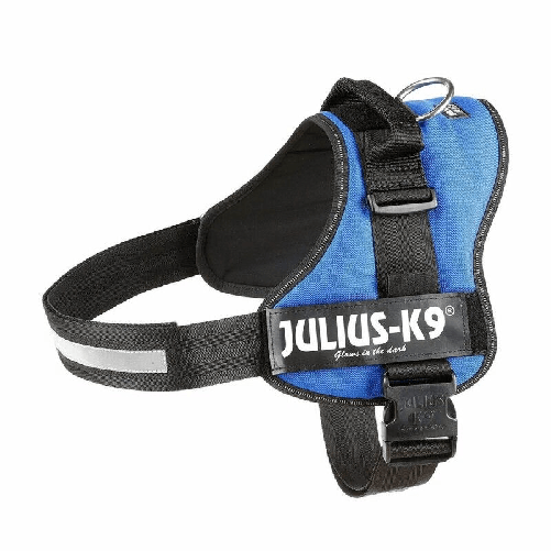 Imbracatura-per-Cani-Julius-K9-Power-Azzurro-XL-3