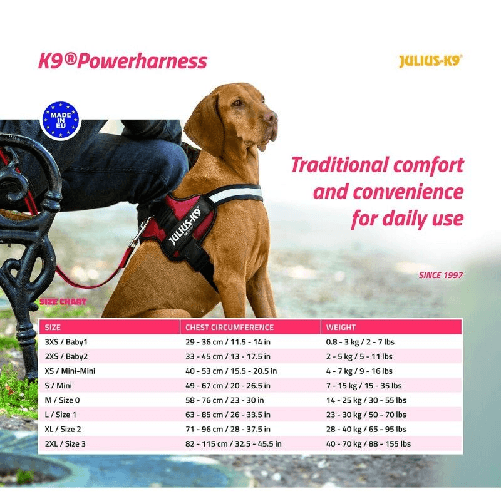 Imbracatura-per-Cani-Julius-K9-Power-Azzurro-XL-3