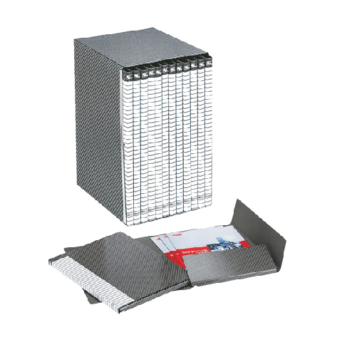 ESSELTE Gruppo DELSO LINE I55 12 cartelle 2 lembi dorso 1,5cm ESSELTE
