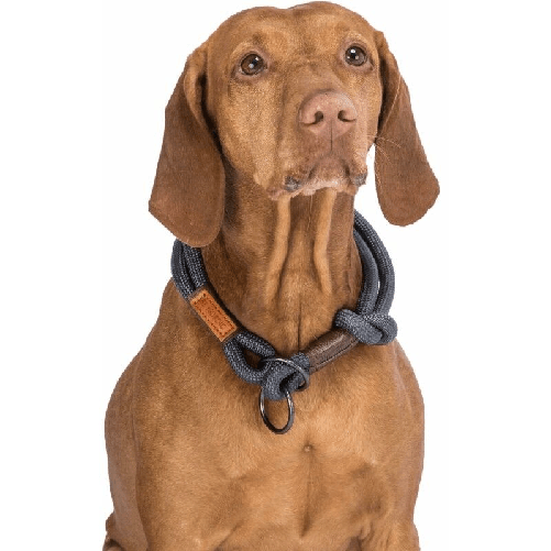 Collari-da-addestramento-per-cani-Trixie-BE-NORDIC-Marrone-Grigio-scuro-45-cm