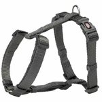 img-f67b83bb-7142-4dd8-8824-9cc15f964e8c.png