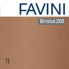 FAVINI-Conf.25-cartoncino-Bristol-Color-200gr-50x70cm-marrone-75-Favini