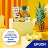 Cartucce-Epson-604XL-603XL-Starfish-CMYK