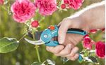 Gardena-Forbici-da-Giardino-Classic-22mm
