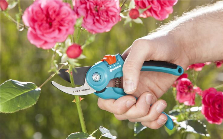 Gardena-Forbici-da-Giardino-Classic-22mm