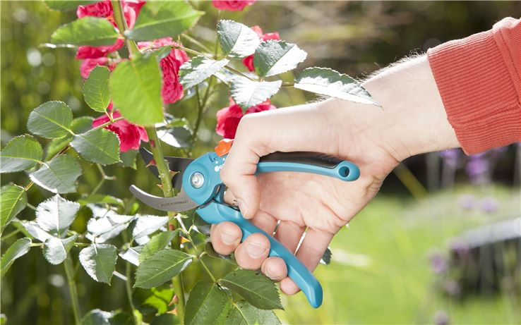 Gardena-Forbici-da-Giardino-Classic-22mm
