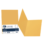FAVINI 50 cartelline semplici LUCE 200gr 25x34cm giallo oro FAVINI