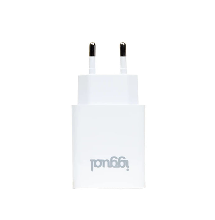 Iggual IGG318188 Caricabatterie per dispositivi mobili Universale Bianco AC Interno