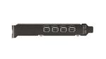 NVIDIA-T1000---CARTE-GRAPHIQUE---T1000---4-GO-GDDR6---PCIE-3.0-X16-PROFIL-BAS---4-X-MINI-DISPLAYPORT