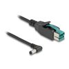 Delock-Cavo-PoweredUSB-con-spina-da-12-V-a-DC-55-x-25-mm-spina-angolata-da-2-m