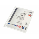 Custodia portadocumenti Esselte Folio - PP Qualità standard multiforo-16 - Borsa 10 - Trasparente