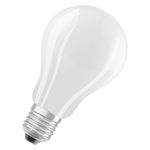 Osram 4058075305038 lampada LED Bianco freddo 4000 K 17 W E27 D