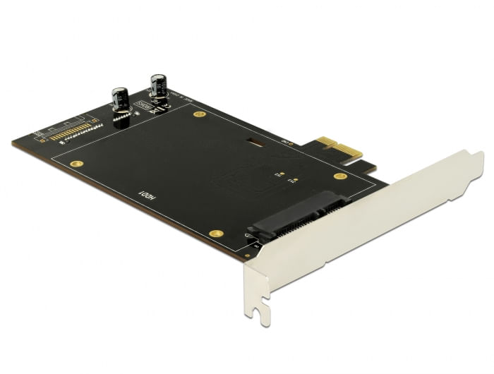 Delock-Scheda-PCI-Express-x1-per-2-x-SATA-HDD-SSD-corta