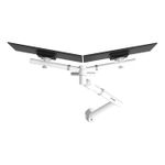 Dataflex-Viewgo-pro-Bianco-Scrivania--Dataflex-Viewgo-Pro-White-Dual-arm--5Years-warranty--