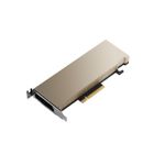 PNY Scheda Grafica PNY NVIDIA A2 Low Profile 16GB