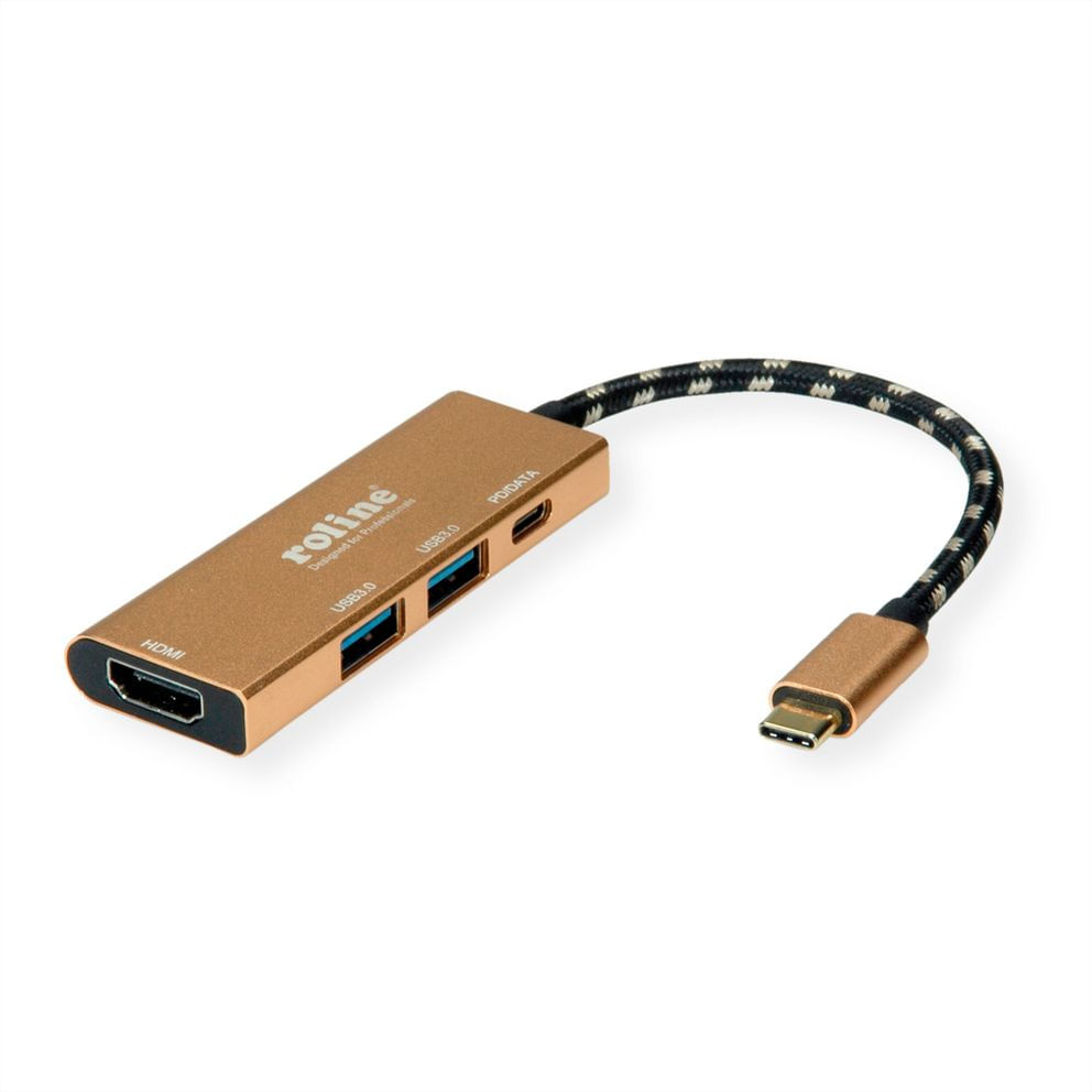 ROLINE 12.02.1119 replicatore di porte e docking station per laptop Cablato USB 3.2 Gen 2 (3.1 Gen 2) Type-C Oro