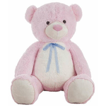 Orsetto di Peluche