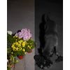 Eufy-Solocam-S40-Scatola-Telecamera-di-sicurezza-IP-Interno-e-esterno-2048-x-1080-Pixel-Parete