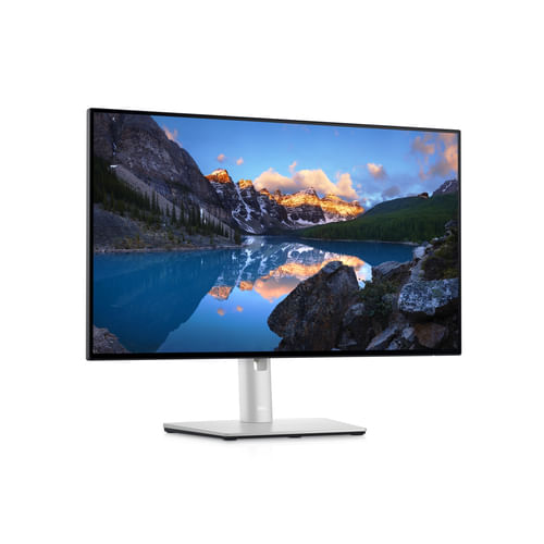 DELL-UltraSharp-U2422H-LED-display-605-cm--23.8---1920-x-1080-Pixel-Full-HD-LCD-Nero-Argento