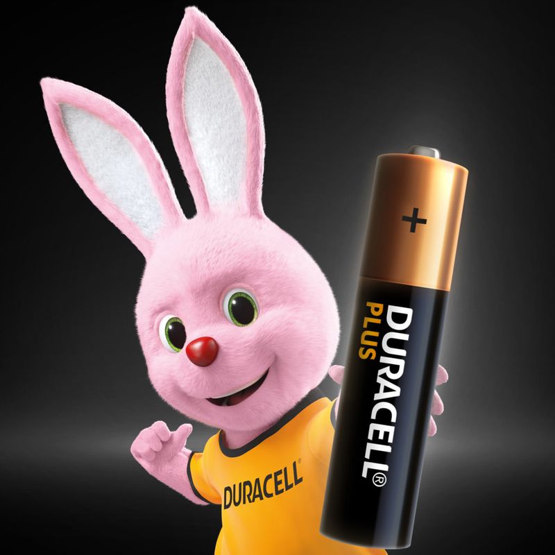 Duracell-Plus-100-AAA-B16-x10