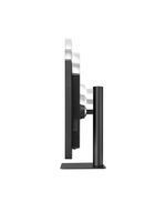 Monitor-LG-21HQ513D-B-21---Scala-di-Grigi-3MP