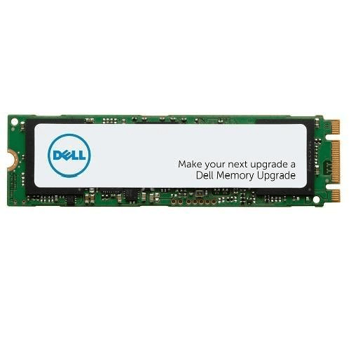 DELL-AA615519-drives-allo-stato-solido-M.2-256-GB-PCI-Express-NVMe--M.2-PCIe-NVME-Class-40-2280---Solid-State-Drive-256
