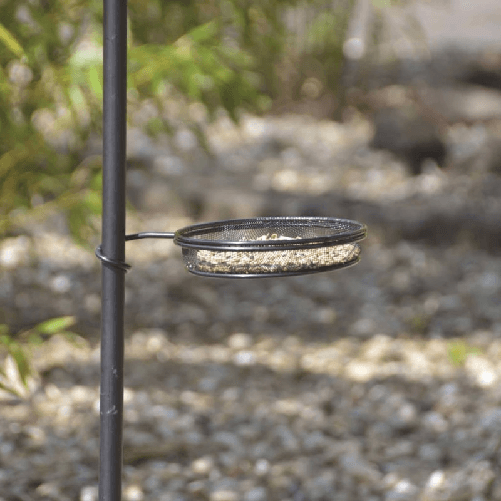 Esschert-Design-Postazione-con-Mangiatoia-per-Uccelli-L-FB405-