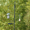 Esschert-Design-Postazione-con-Mangiatoia-per-Uccelli-L-FB405-