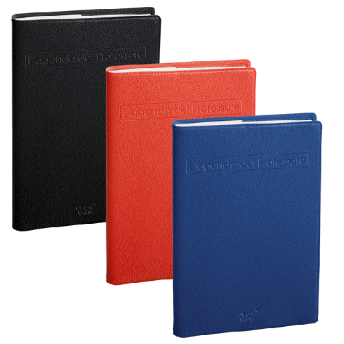 Quo Vadis QUOVADIS Agenda del Professore 21x27cm Impala colori assortiti 2025 Quo Vadis