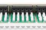 Digitus-50-port-Patch-Panel-1U