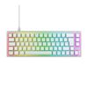 A¢a¬A¢-Keyboard-A¢a¬A¢-TastenhAA¶he--flach-A¢a¬A¢-Tasten--regulAA¤r-RGB-A¢a¬A¢-Anschluss--USB