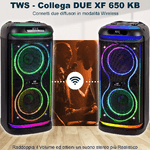 Trevi-XF-650-KB--Altoparlante-Wireless-100W-con-Karaoke-e-Luci-Multicolor