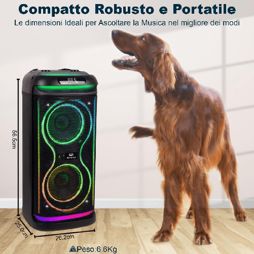 Trevi-XF-650-KB--Altoparlante-Wireless-100W-con-Karaoke-e-Luci-Multicolor