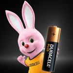 Duracell-Plus-100-AA-B16-x10