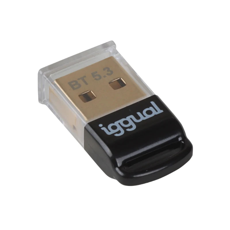Iggual IGG319383 scheda di interfaccia e adattatore Interno Bluetooth
