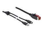 Delock---Cavo-USB-alimentato---USB-PlusPower--24-V---M--a-USB-Mini--Din--M--30m---Black--85942--corrente--85942-
